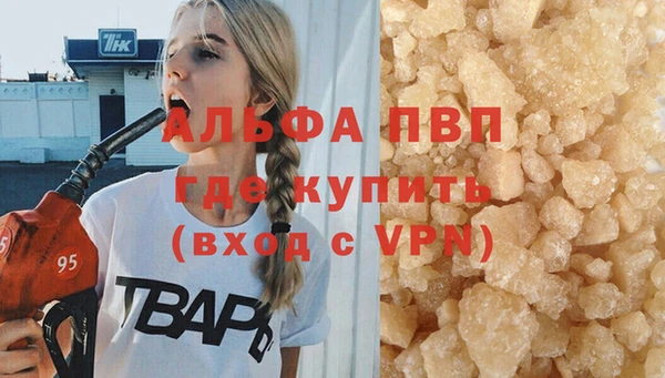 дмт Абаза