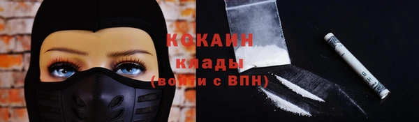 дмт Абаза