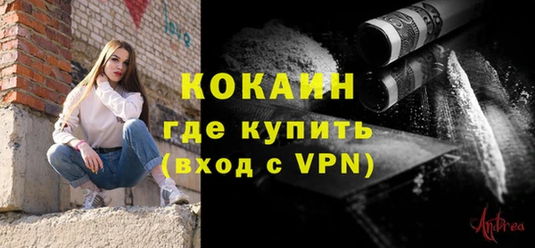 дмт Абаза