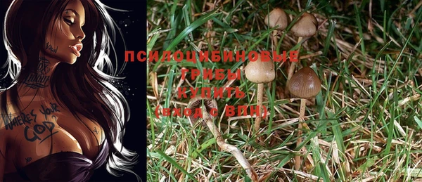 дмт Абаза