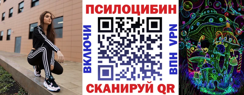 mega ссылки  где купить наркоту  Фокино  Псилоцибиновые грибы GOLDEN TEACHER 